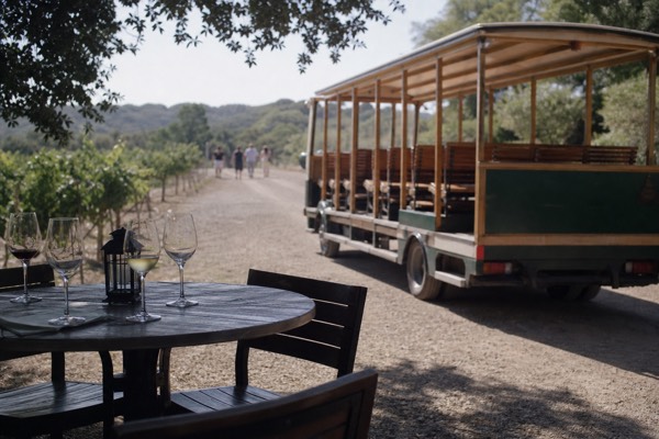 All-Inclusive Social Wine Tour