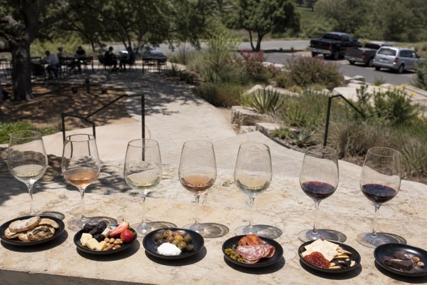 Fredericksburg Hill Country Aficionado Wine Tour from San Antonio