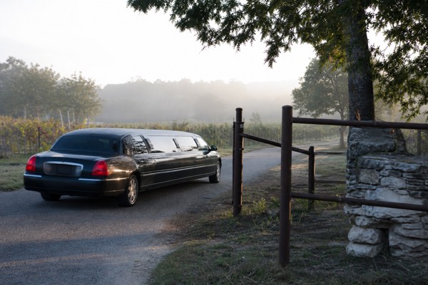 Texas Hill Country Group Wine Tour by Limousine