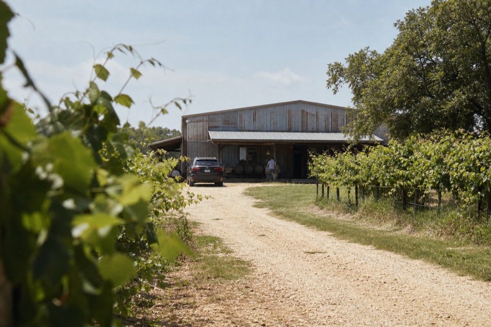 A weathered corrugated metal winery building with a small covered porch at the end of a gravel track, surrounded by mature vine rows