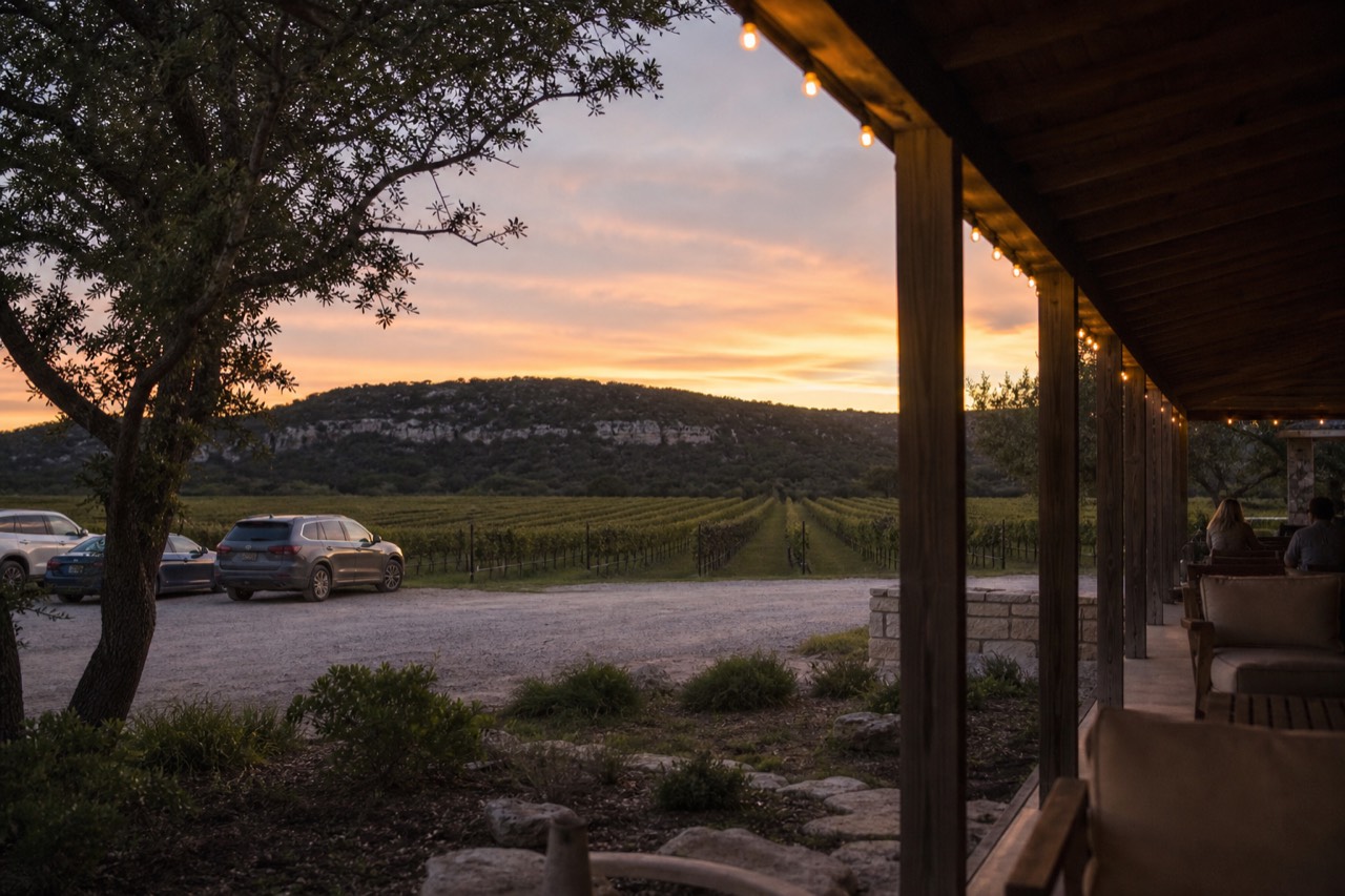 Long vineyard rows running toward limestone hills at golden hour in the Texas Hill Country