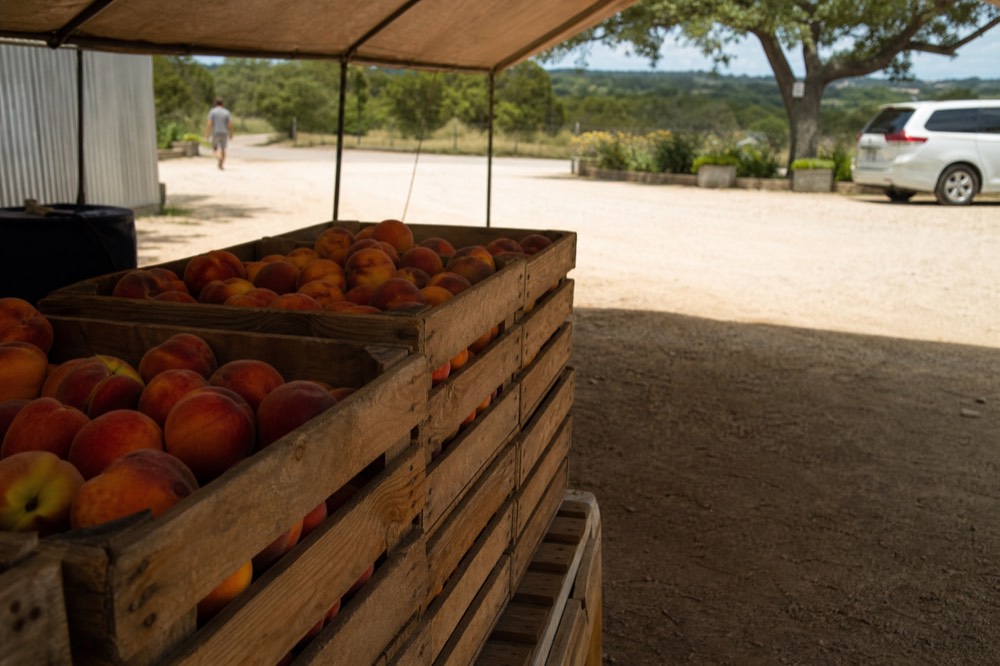 Wooden crates of ripe peaches stacked under a canvas awning at a roadside stand, handwritten-free plain signage, dusty road behind